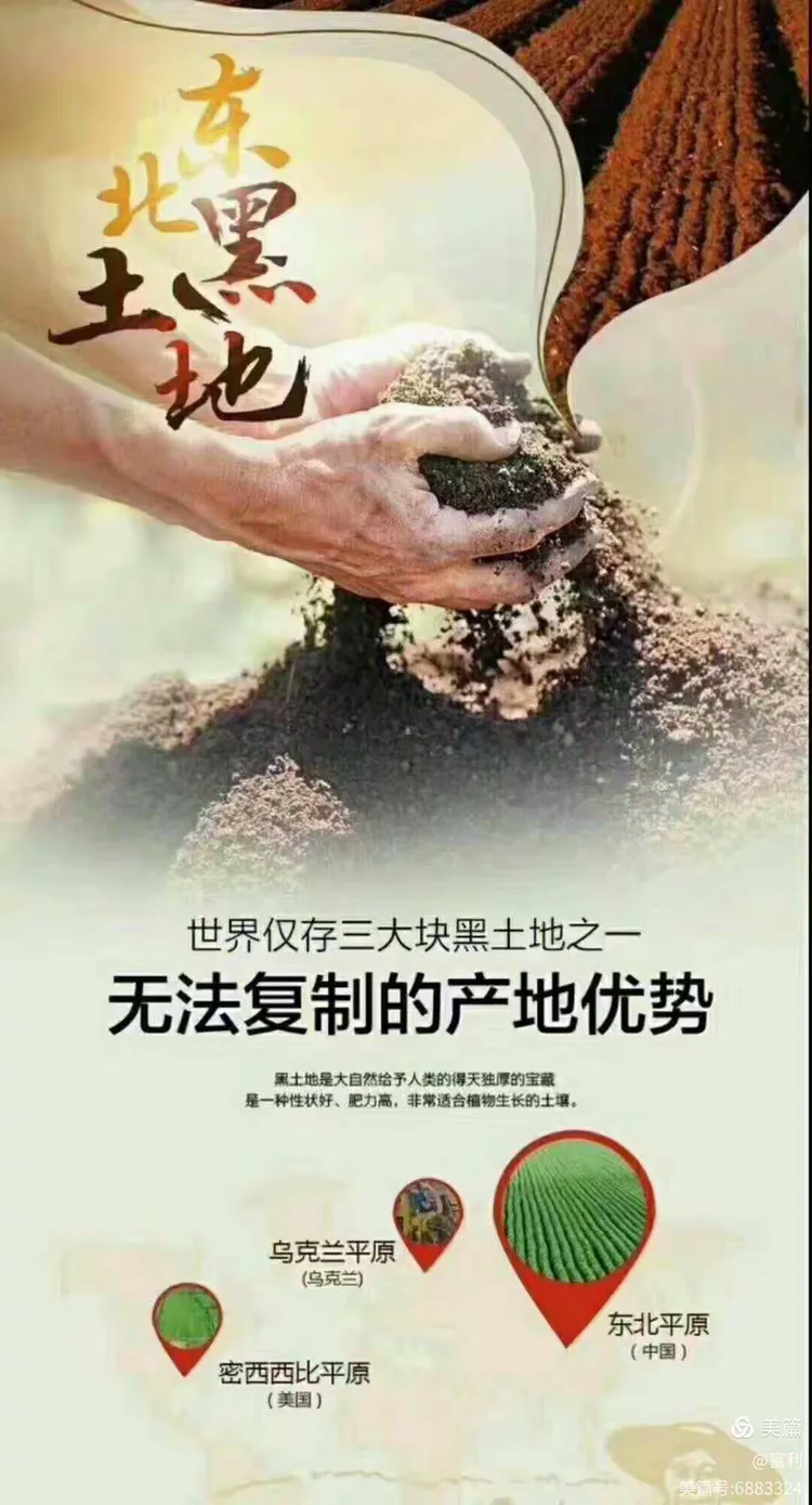 世界仅有三块黑土地,我国是其中之一。